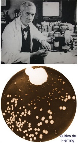 Alexander Fleming