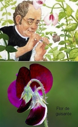 Gregor Mendel